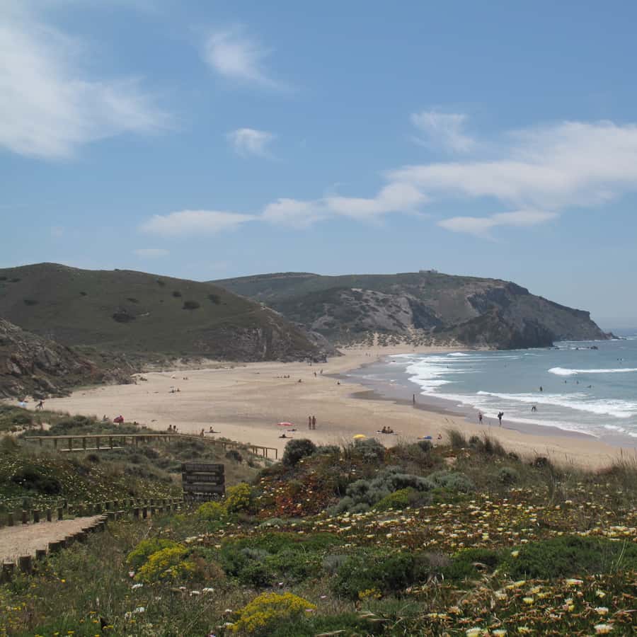 Colagem de mídia