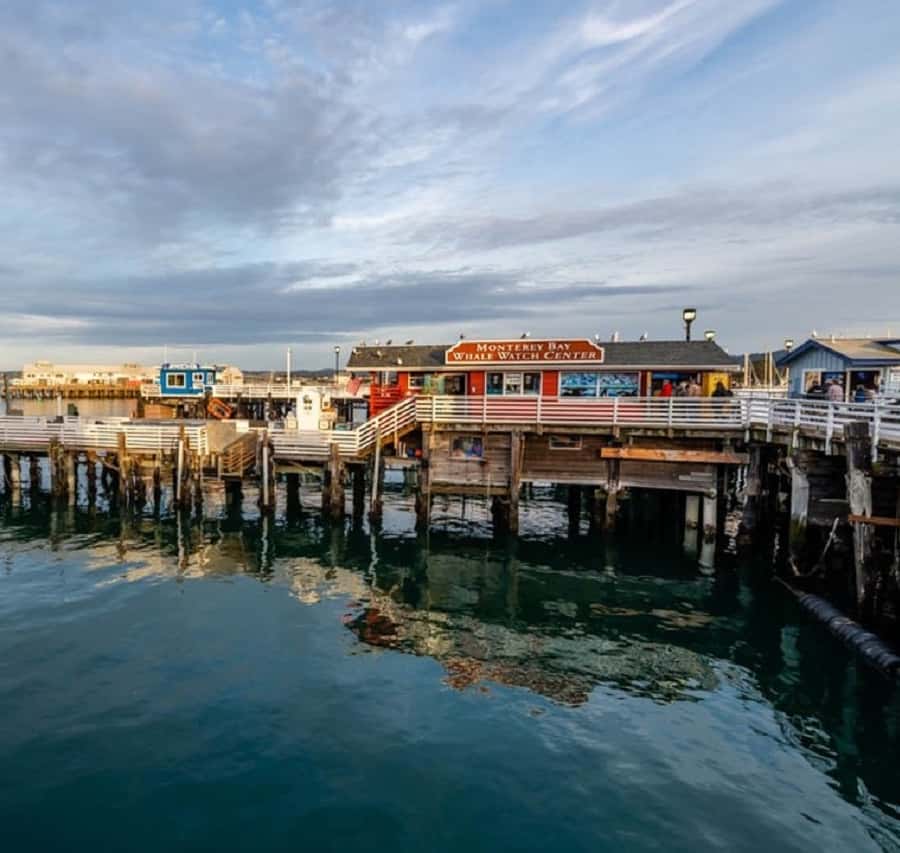 San Francisco: Monterey and Carmel Day Tour