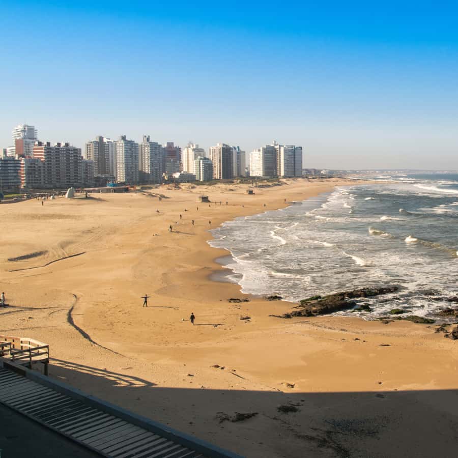 Galería de fotos para redes