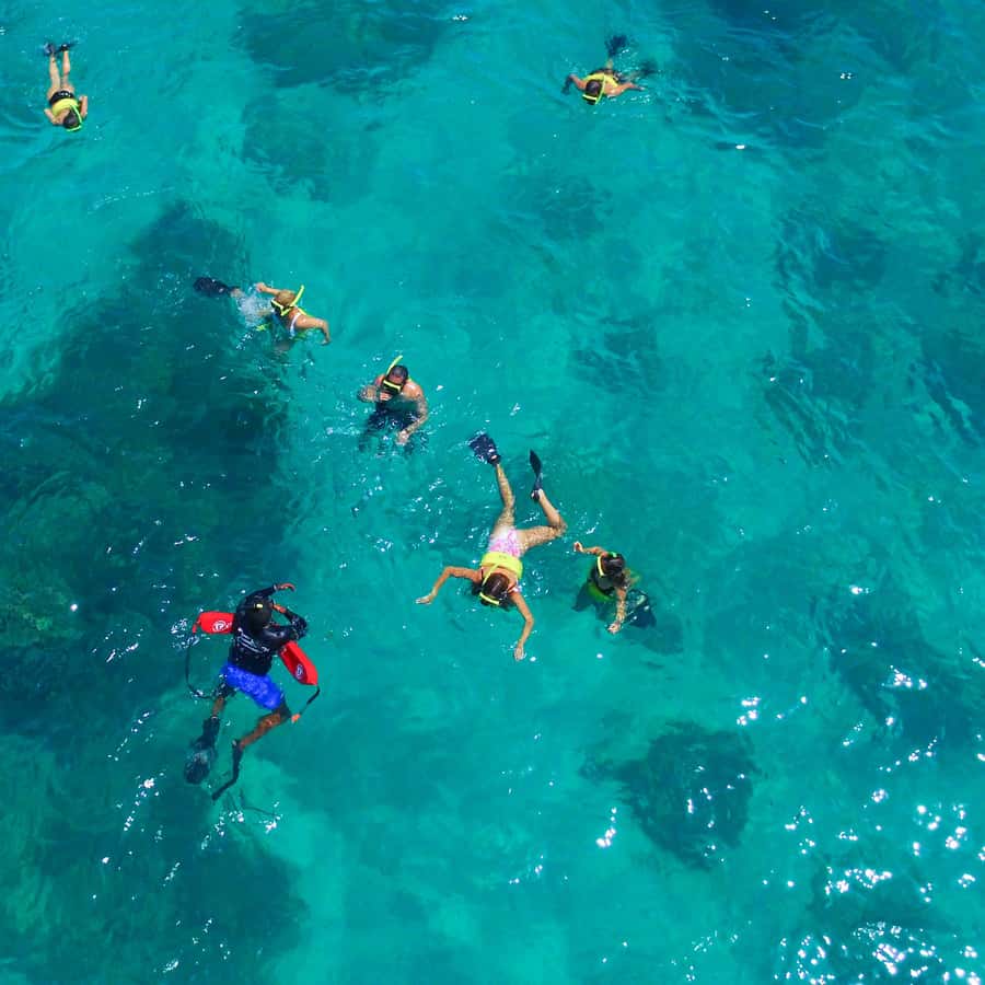 From Fajardo: Cayo Icacos Morning Snorkeling Tour