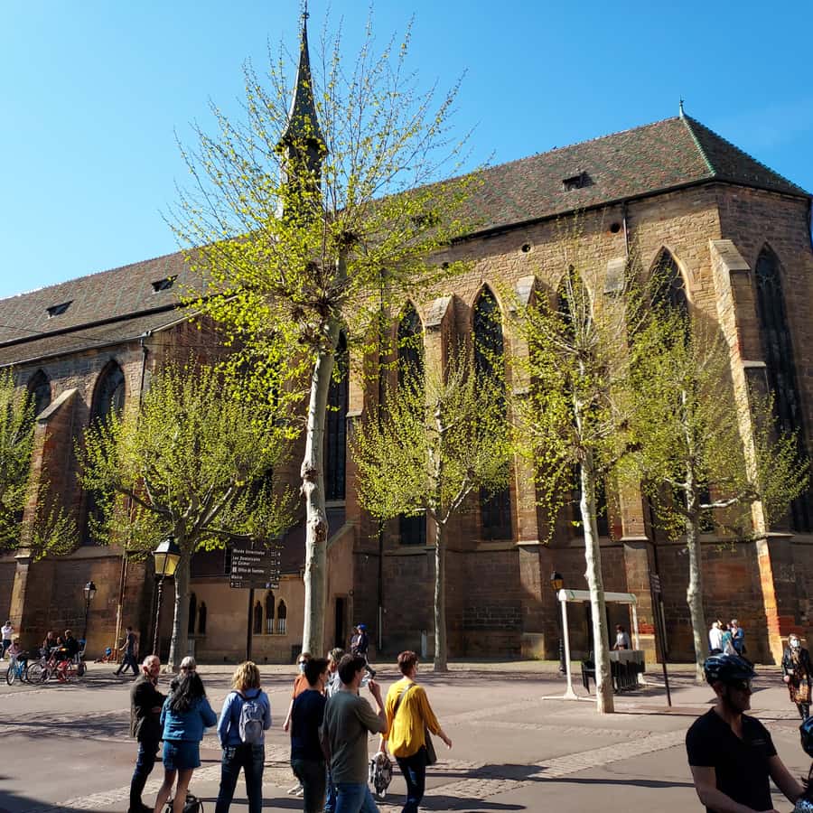 Galerie média