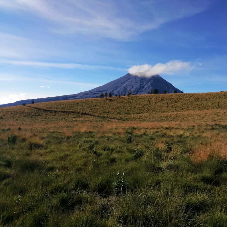 Colagem de mídia