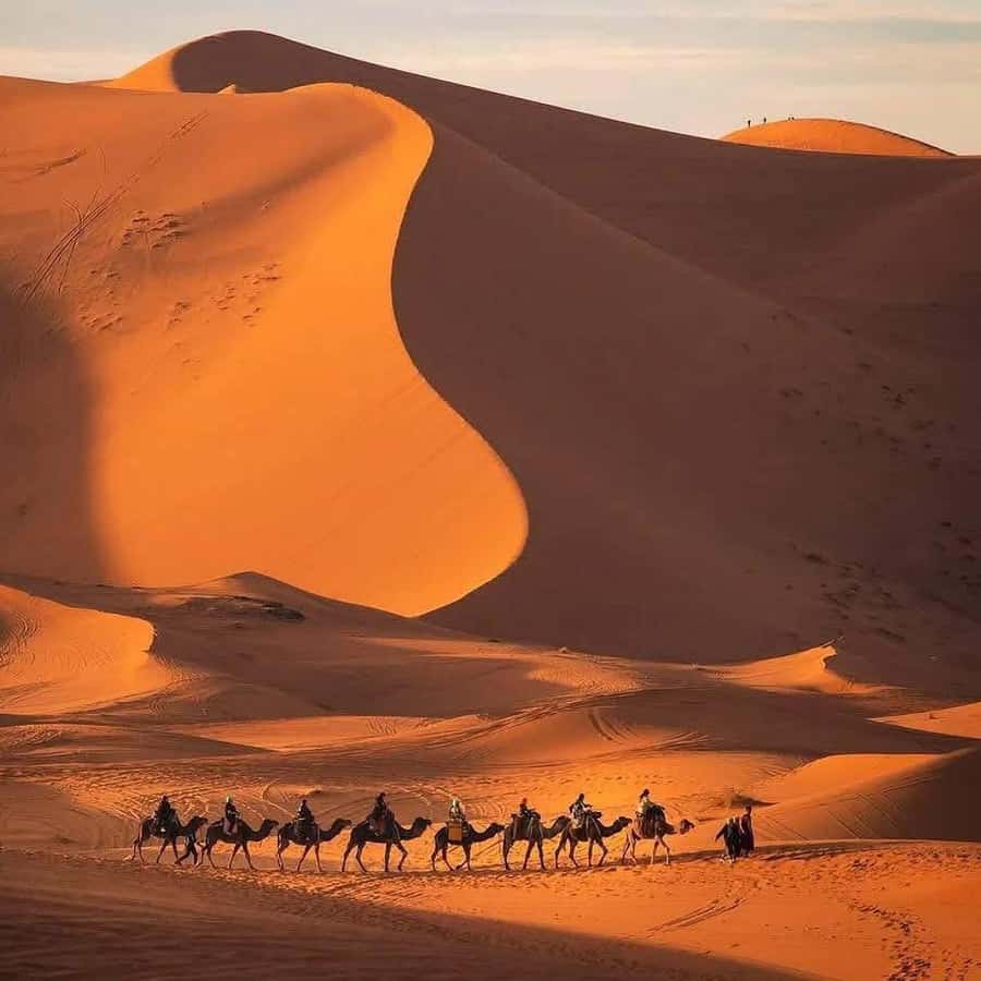 Galería de fotos para redes