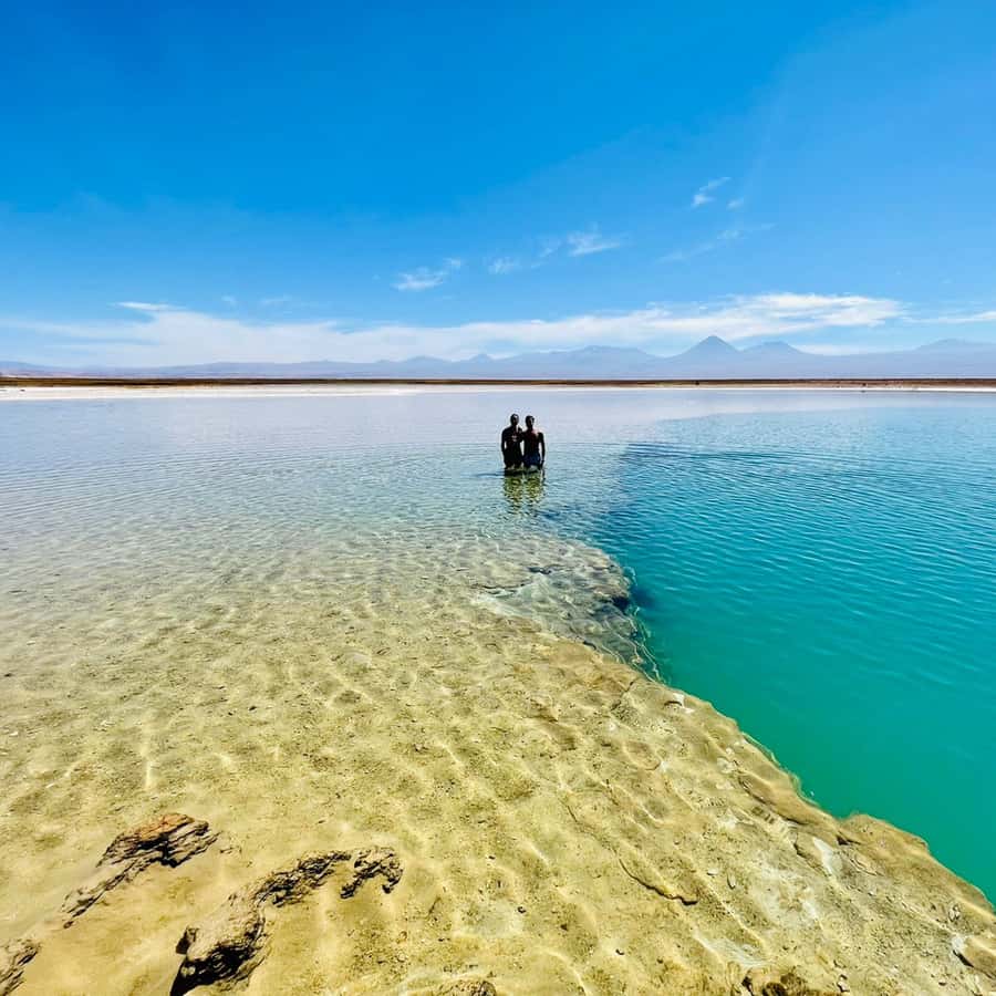 Colagem de mídia