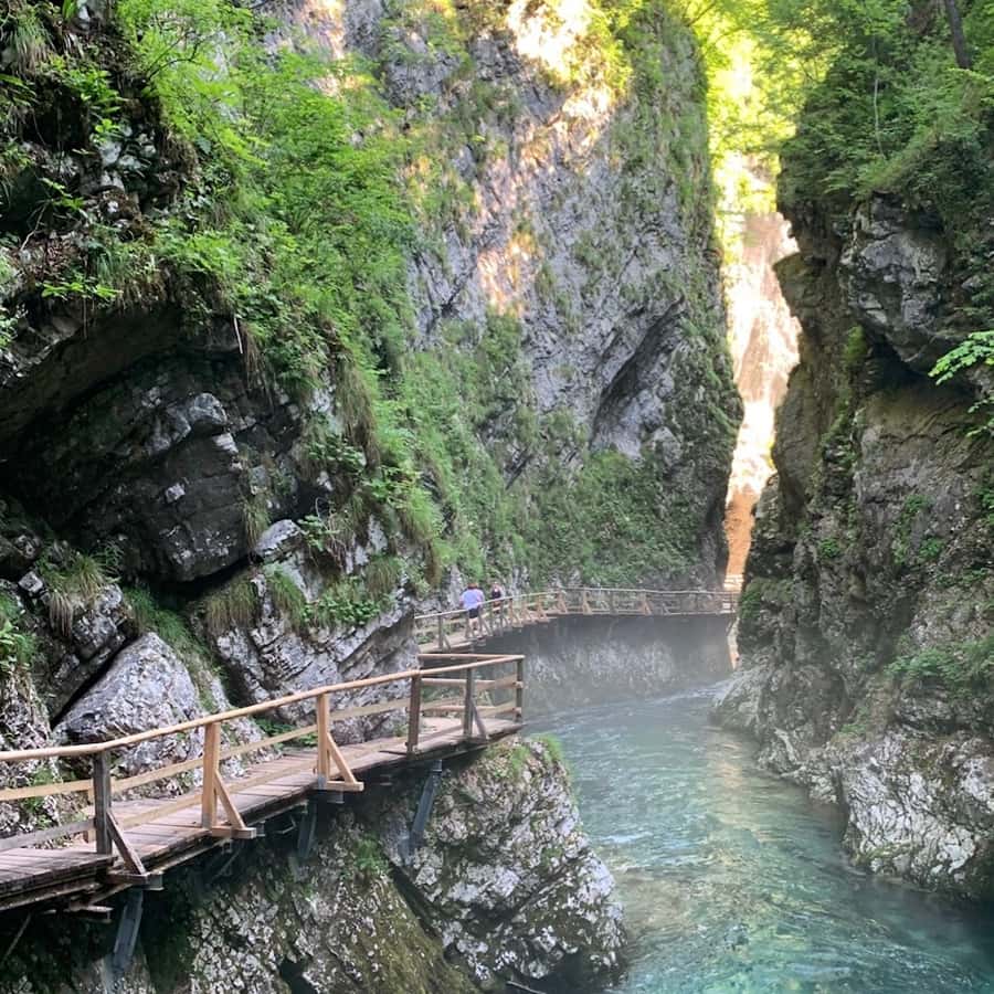 Galería de fotos para redes
