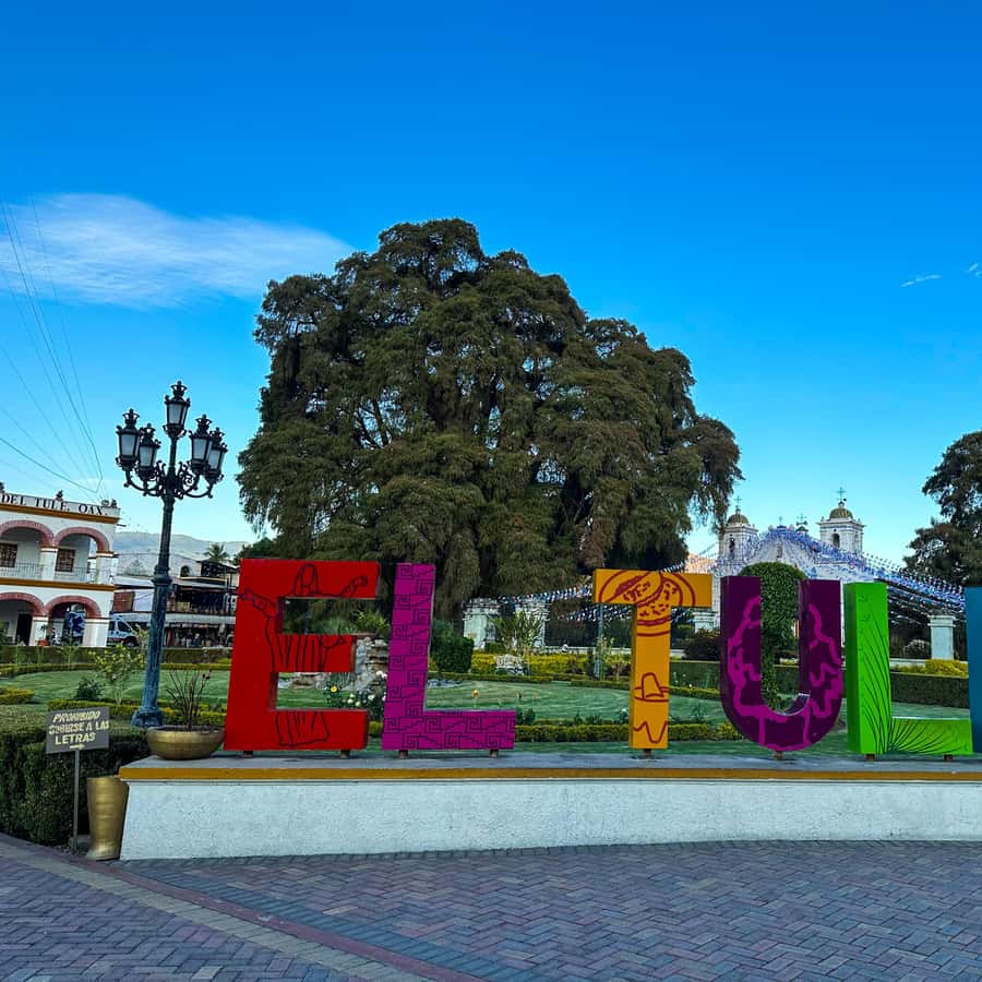Galería de fotos para redes