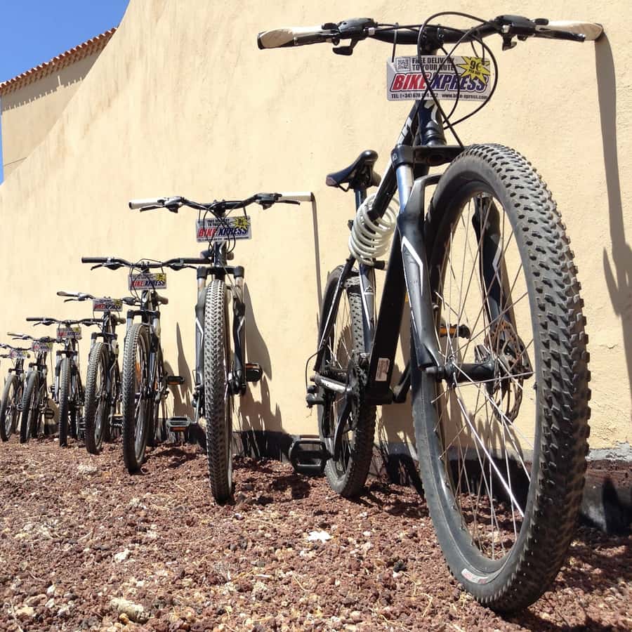 Tenerife: Noleggio Mountain Bike con Consegna in Hotel GetYourGuide