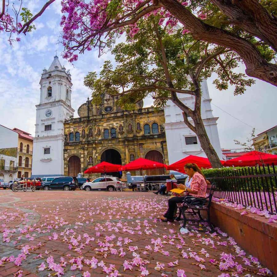 La Vieja, Miraflores Canal, Casco Viejo Private City Tour