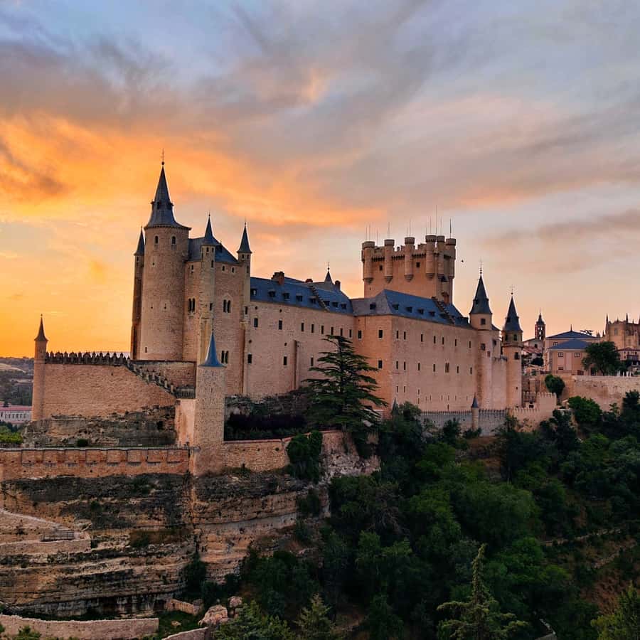 Galería de fotos para redes