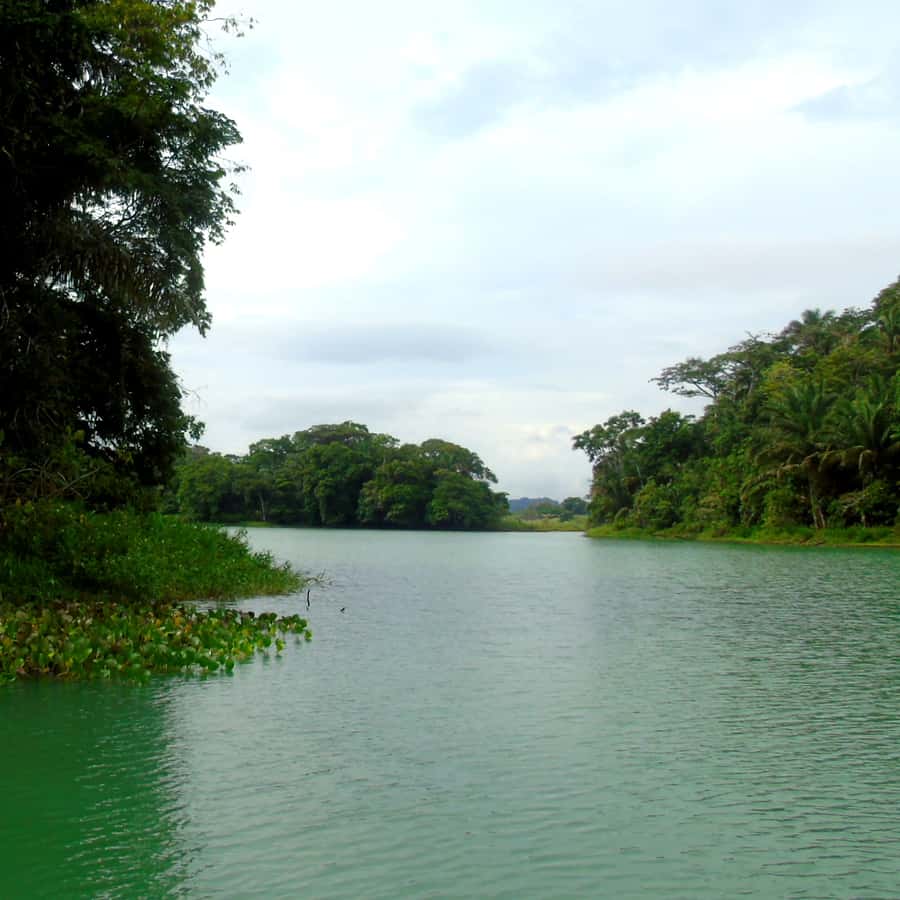 Colagem de mídia