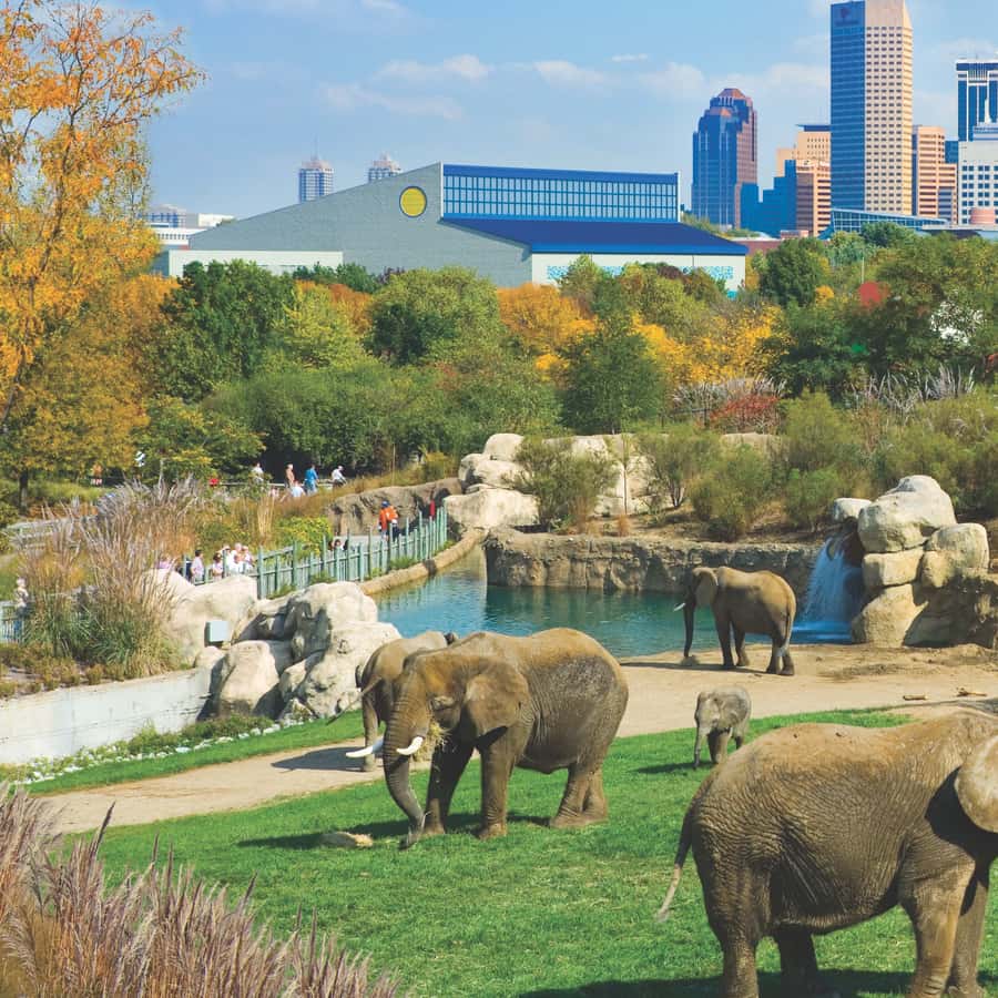 Indianapolis: 3-Day Indy Attraction Pass