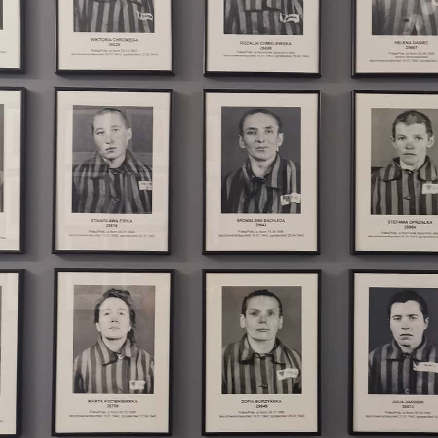 Galerie média