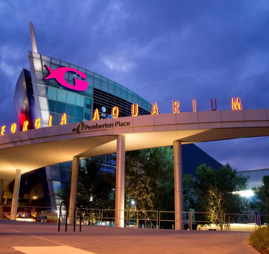Atlanta: City Lights Night Tour with Photos & Dinner Stop