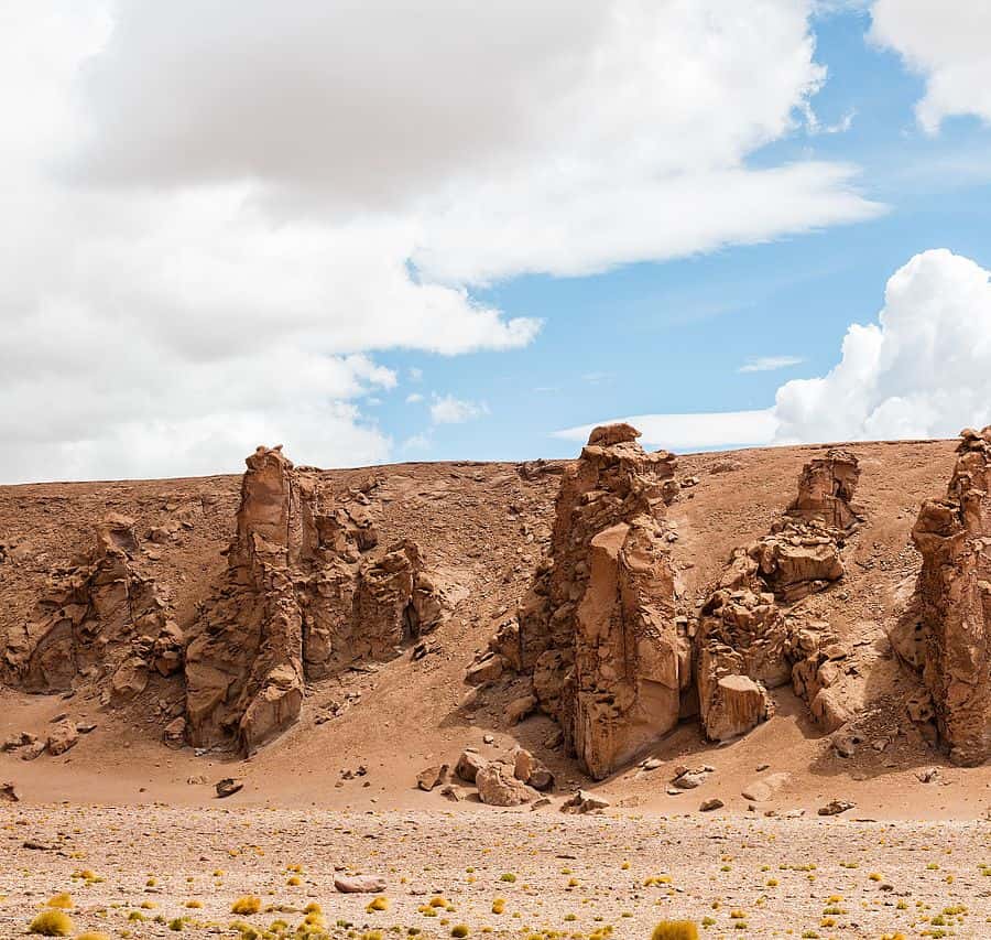 Galería de fotos para redes