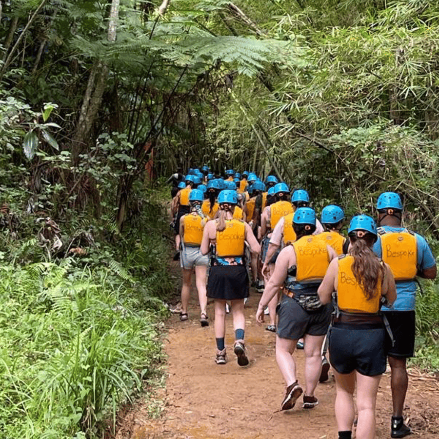 From San Juan: El Yunque Forest Hike & Ziplining Combo Tour
