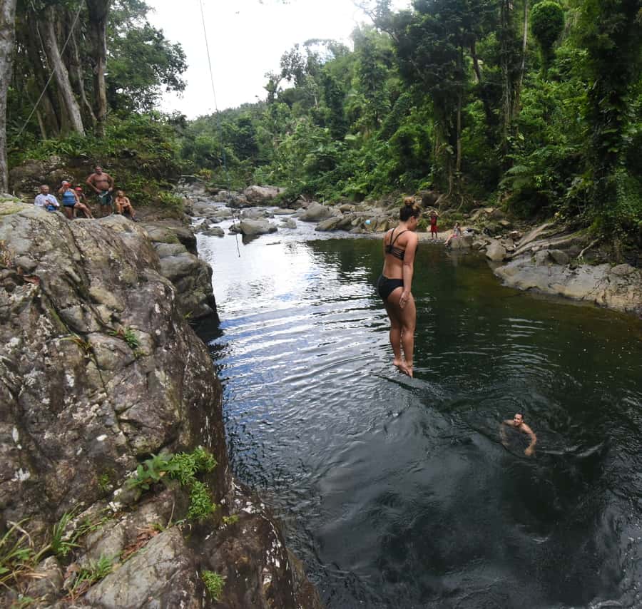 From San Juan: El Yunque Forest Hike & Ziplining Combo Tour