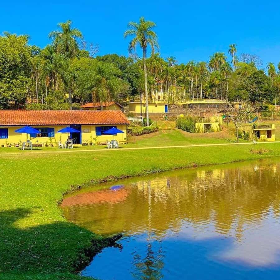 Colagem de mídia