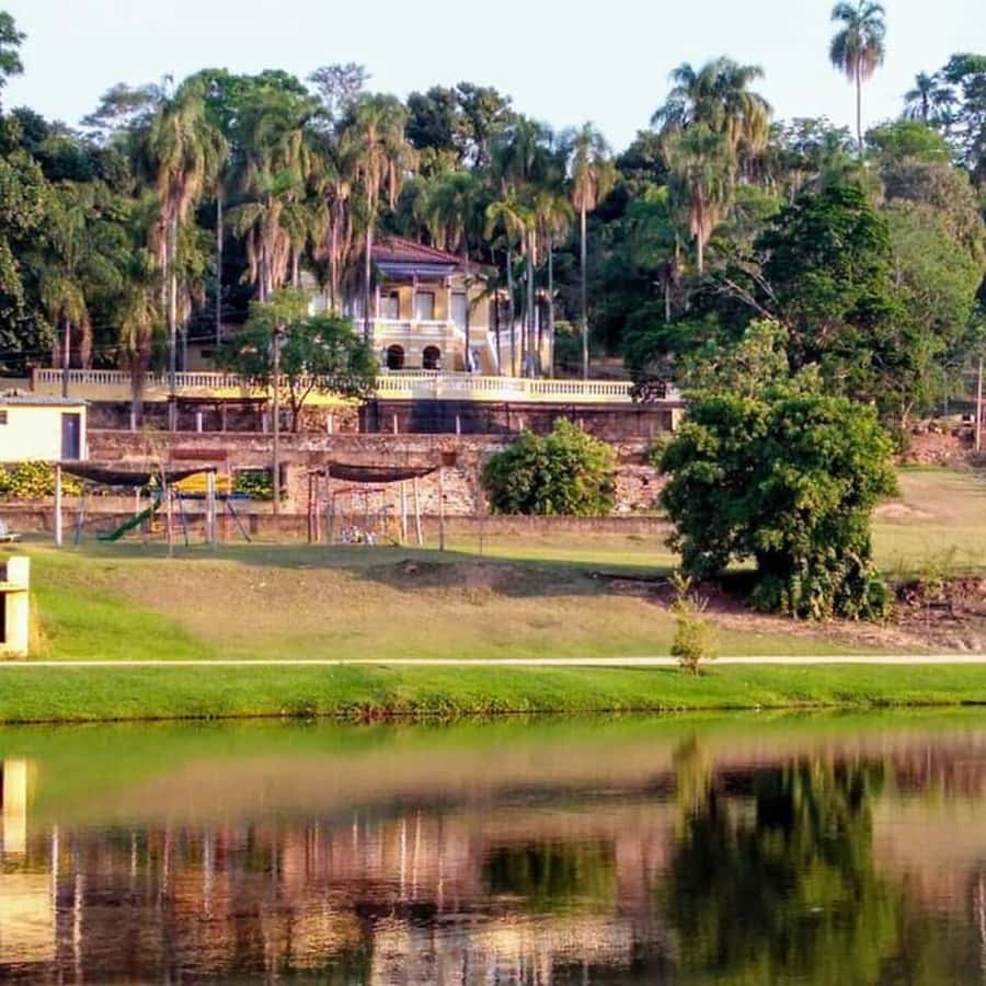 Colagem de mídia