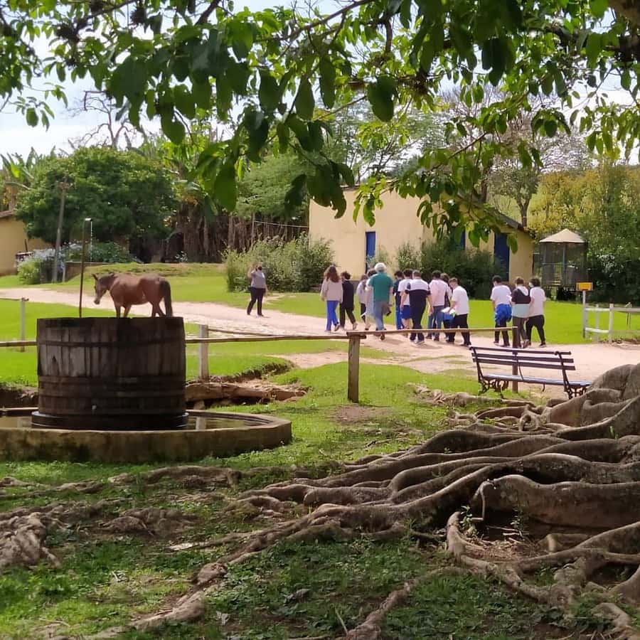Colagem de mídia