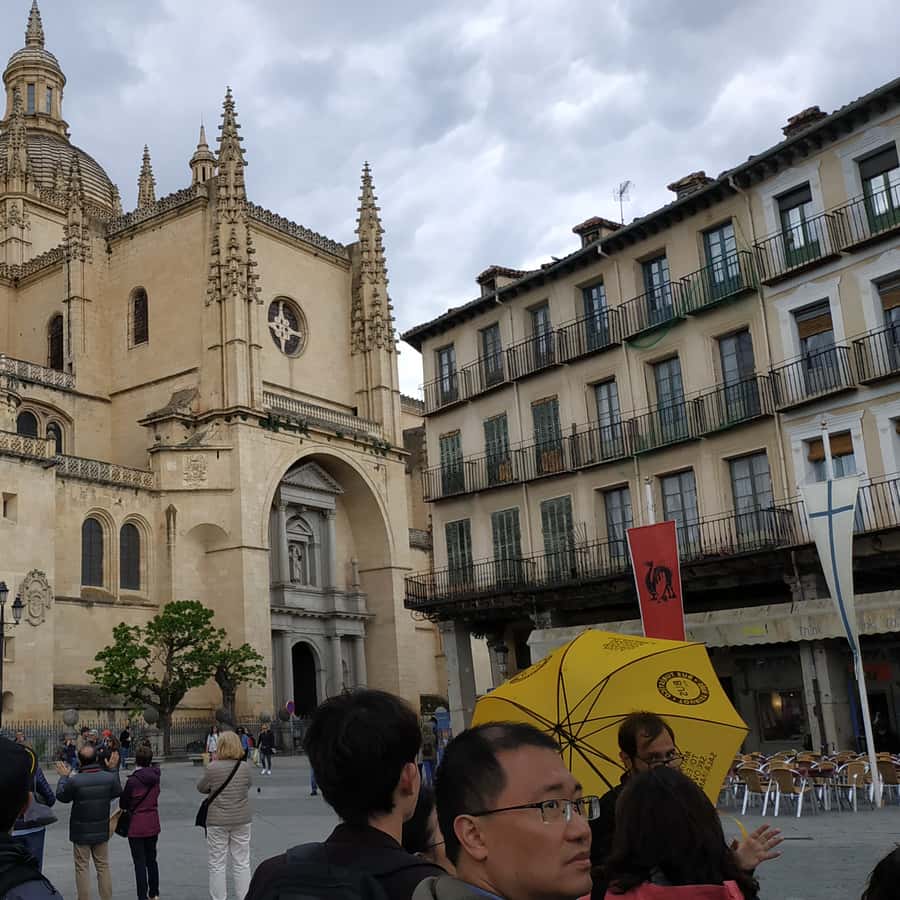 Galería de fotos para redes