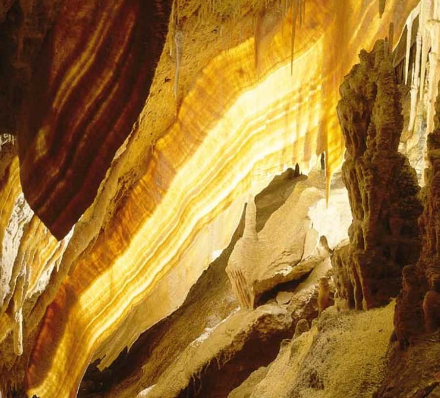 Galerie média