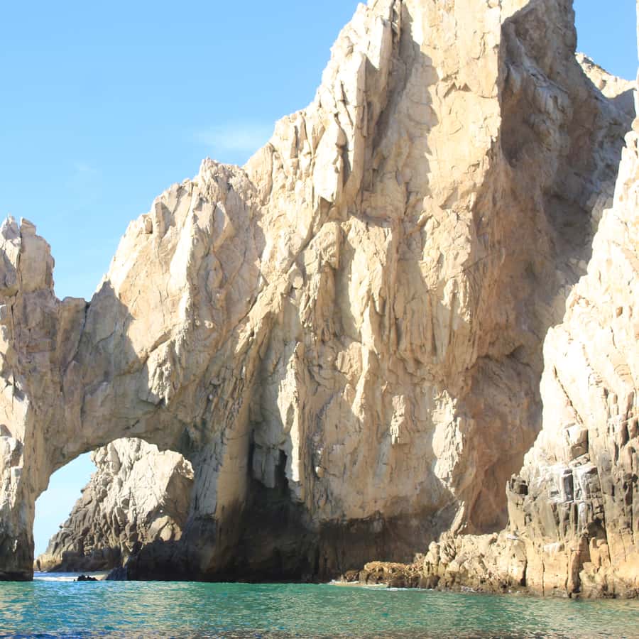 Cabo San Lucas: Up Close Whale Watching Small Group Tour