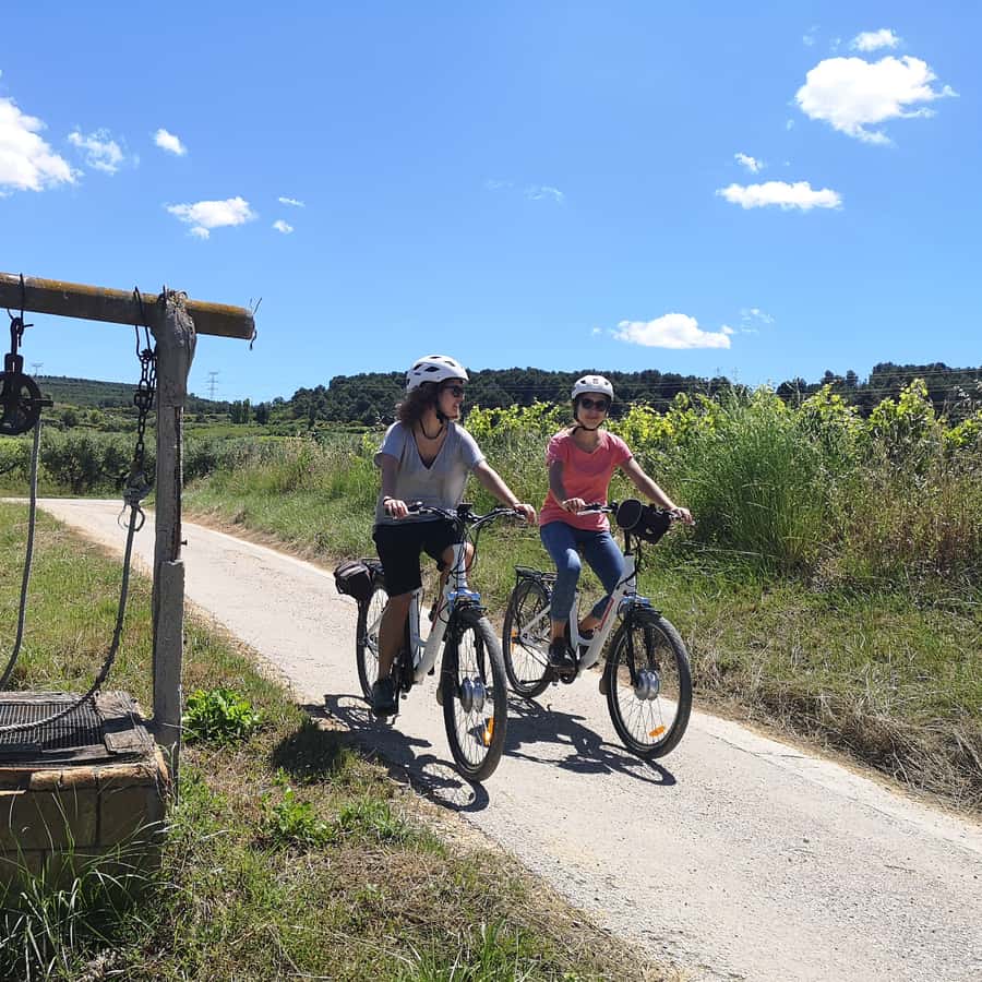 Barcelona: Penedès Self-Guided eBike Tour with Wine Tasting