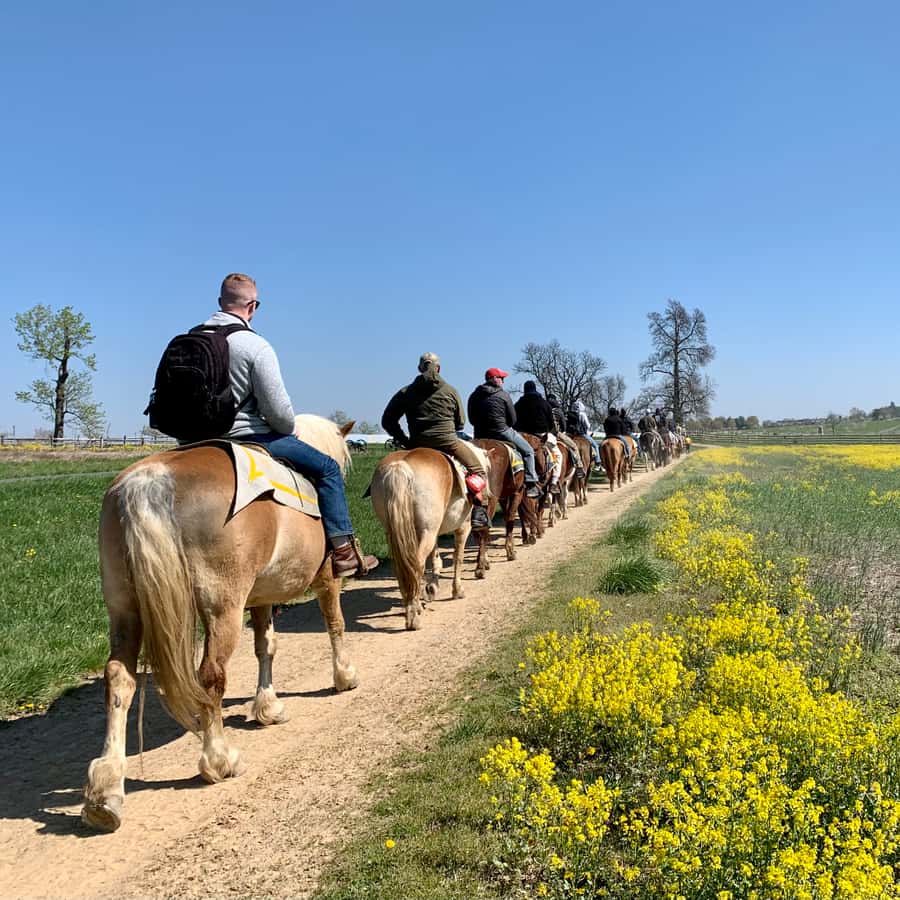 Gettysburg: Licensed Guided Battlefield Horseback Tour