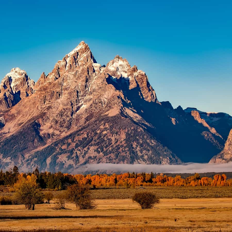 From Jackson: Half-Day Grand Teton National Park Tour