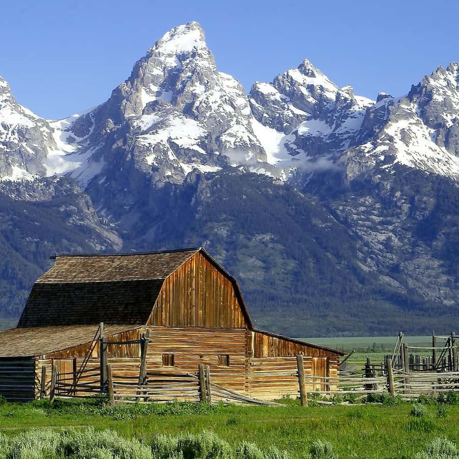 From Jackson: Half-Day Grand Teton National Park Tour