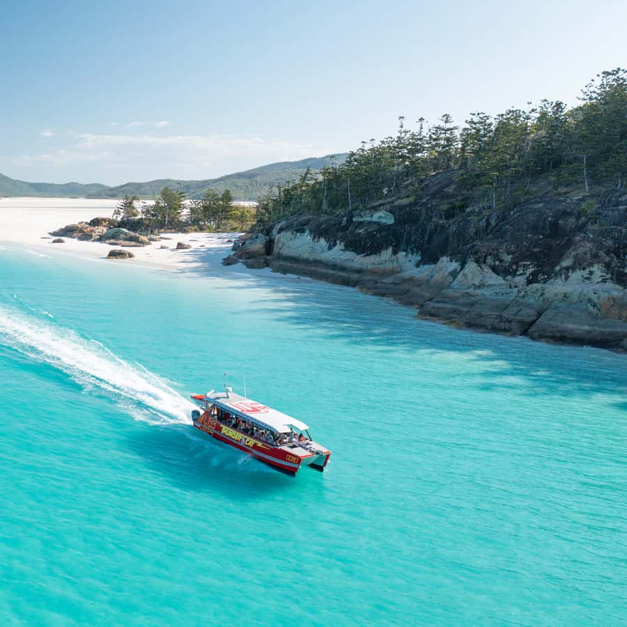 Airlie Beach: Whitehaven Full-Day Eco-Cruise with Buffet
