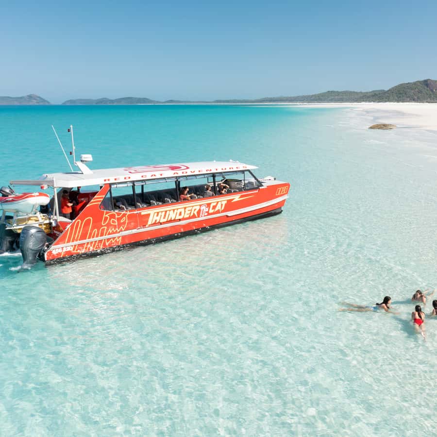 Airlie Beach: Whitehaven Full-Day Eco-Cruise with Buffet