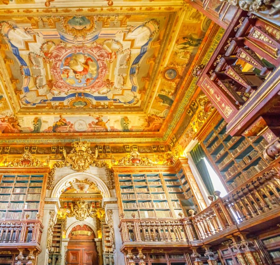 Galería de fotos para redes