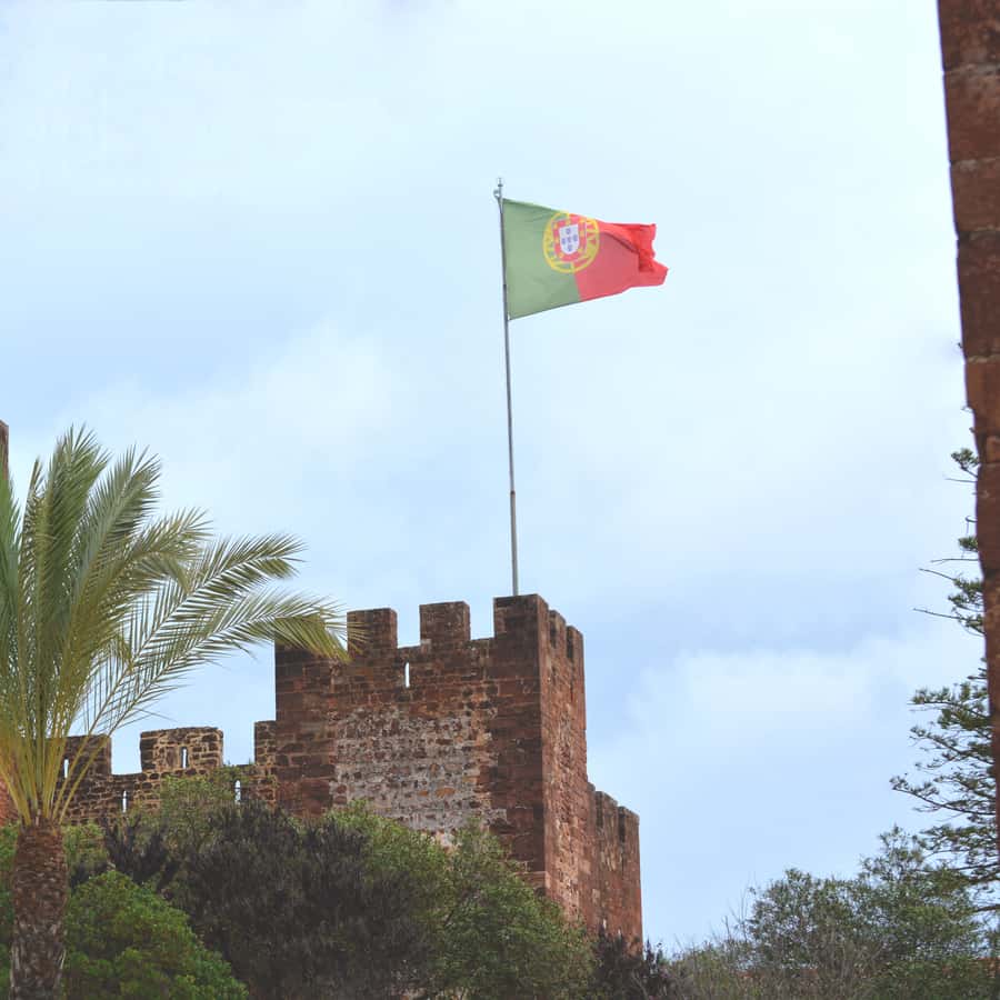 Colagem de mídia