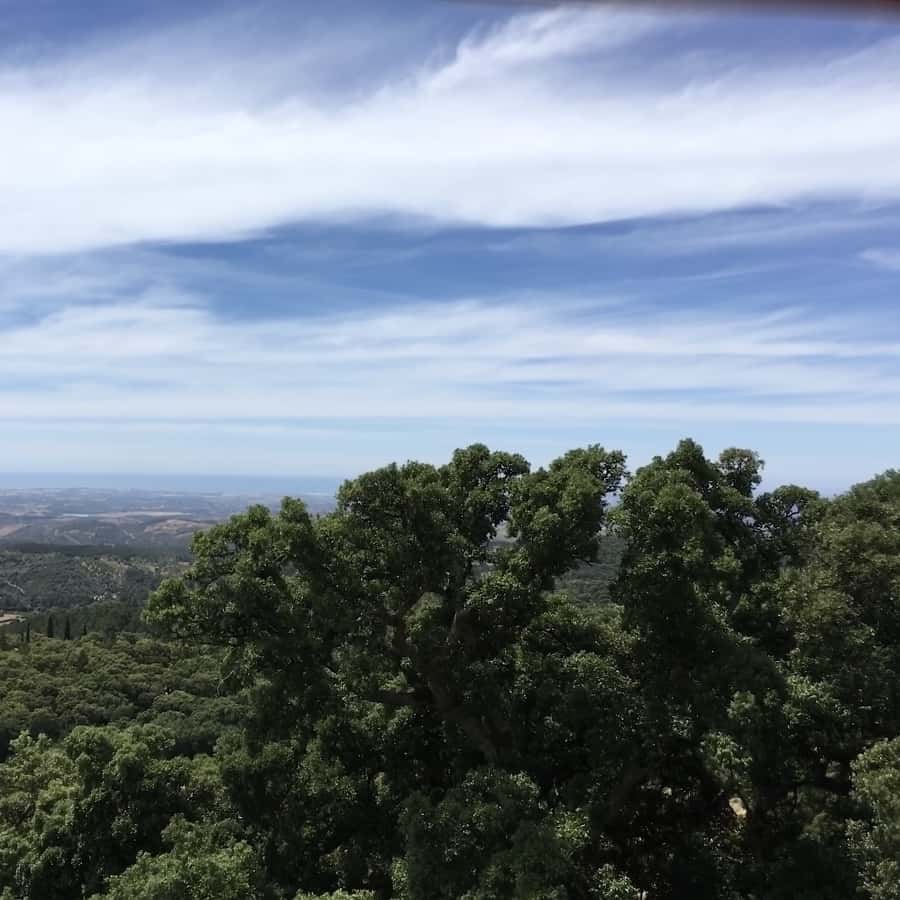 Colagem de mídia