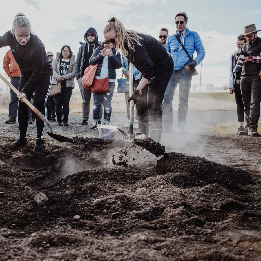 Galería de fotos para redes