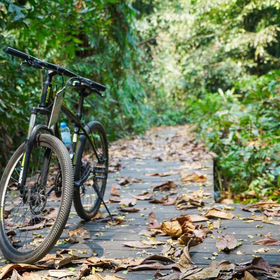 Bangkok Green Oasis Nature Bike Tour GetYourGuide