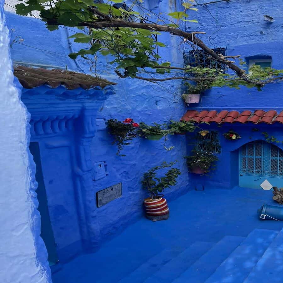 Colagem de mídia