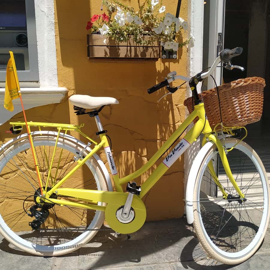 Via Veneto Amazon Bici Vintage Via Veneto Prix Velo De Ville Femme