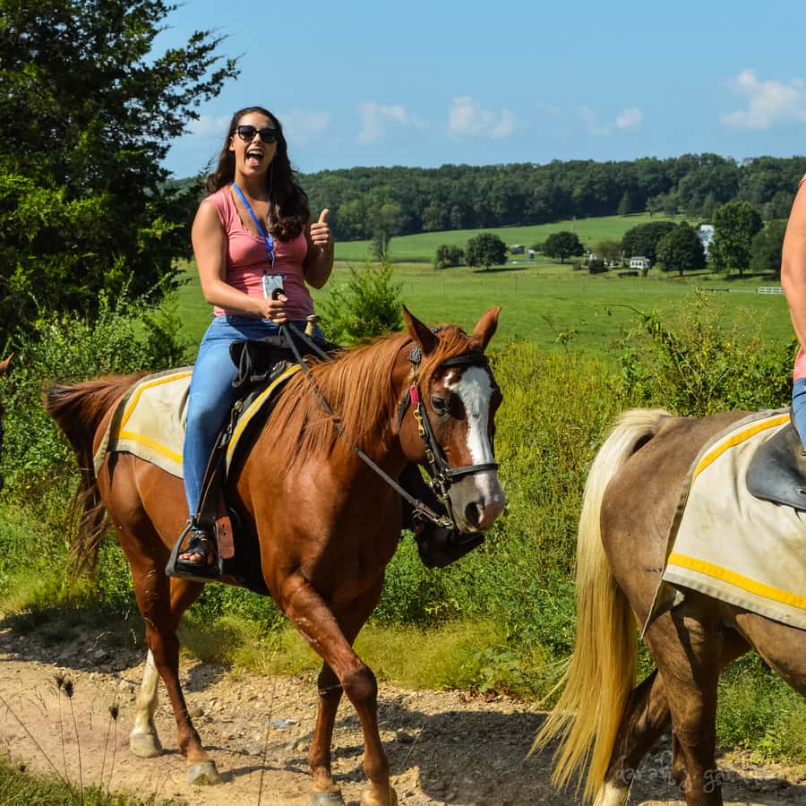 Gettysburg: Licensed Guided Battlefield Horseback Tour