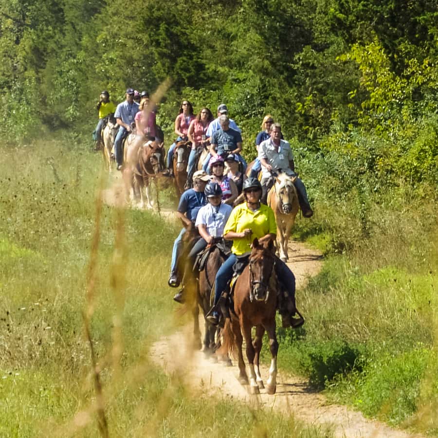 Gettysburg: Licensed Guided Battlefield Horseback Tour