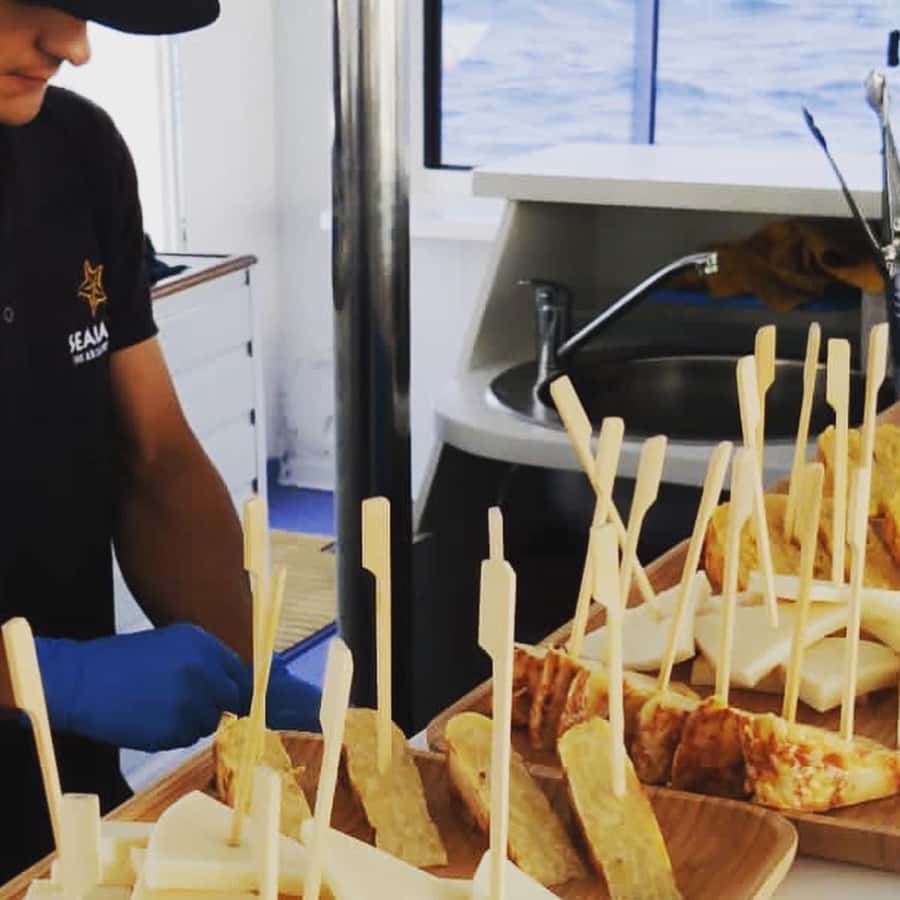 Galería de fotos para redes