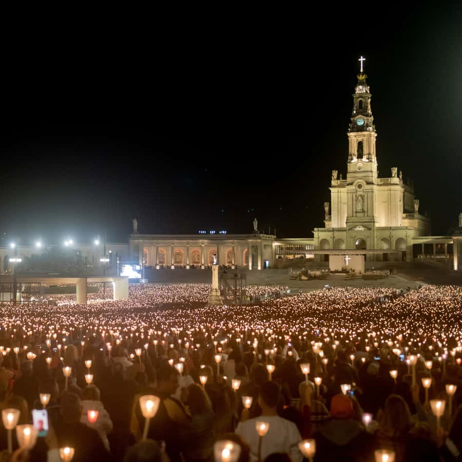Galería de fotos para redes