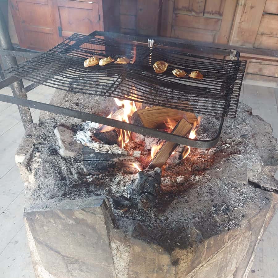 Galería de fotos para redes