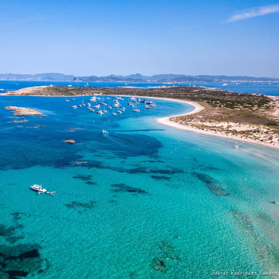 Ibiza: Cruise to Formentera with Open Bar and Buffet Lunch