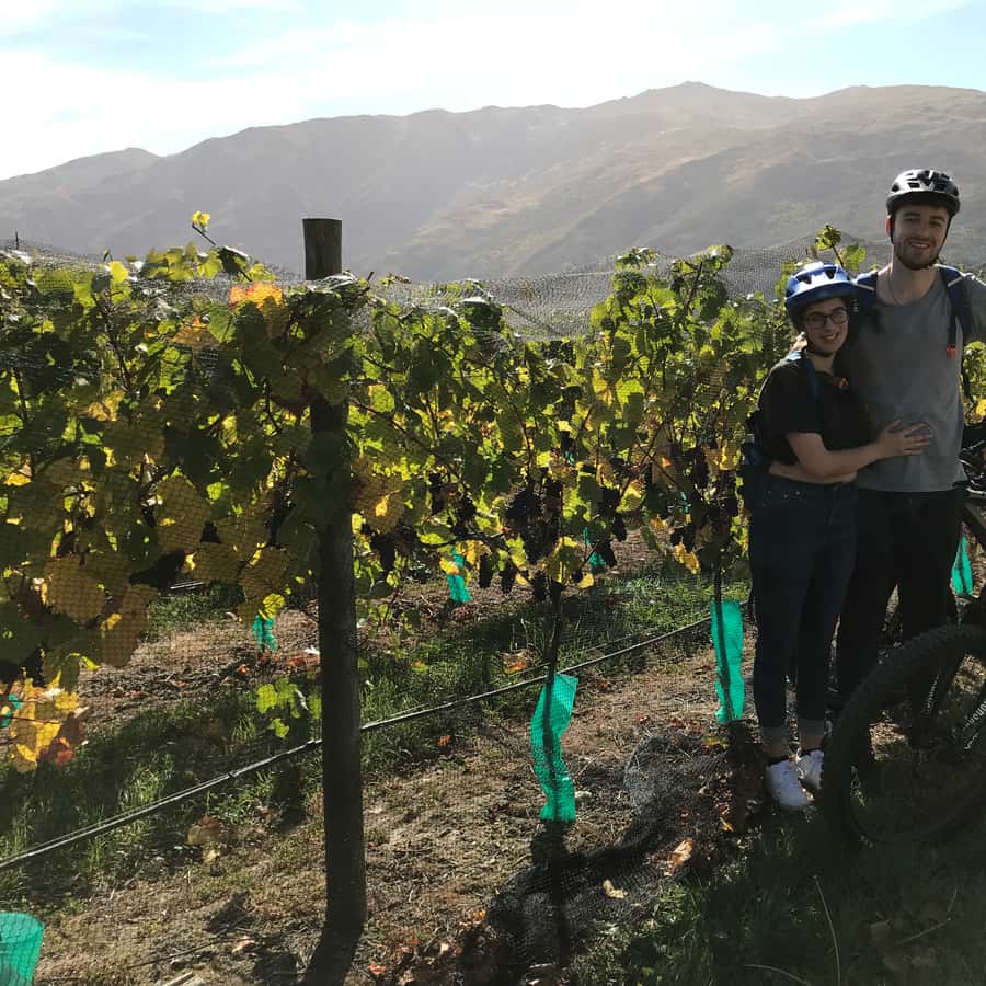 Queenstown: Visita guiada en bicicleta eléctrica con degustaciones