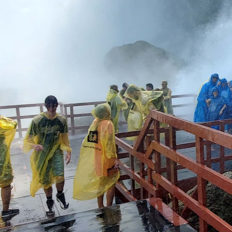 メディア コラージュ