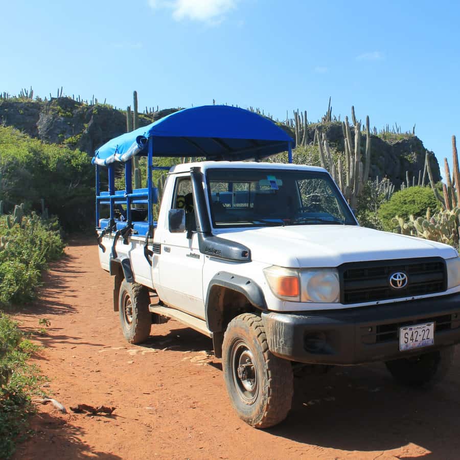 Colagem de mídia