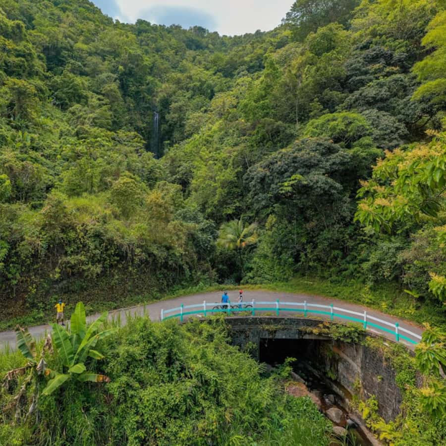 Colagem de mídia