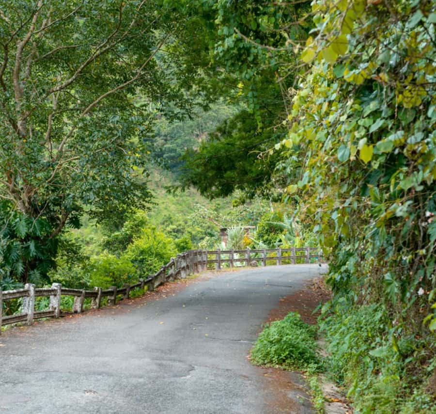 Colagem de mídia